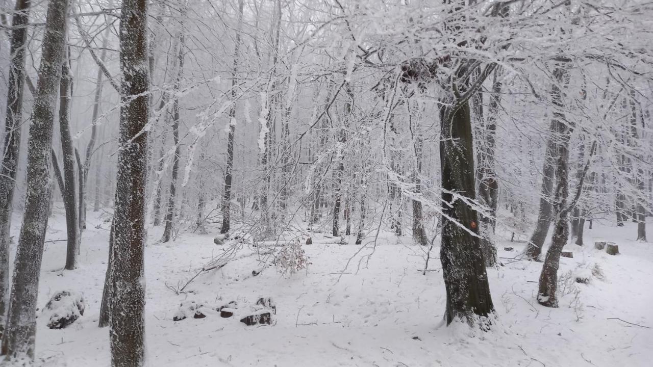 Chata Korenny Vrch Pezinska Baba Pezinok Exteriör bild