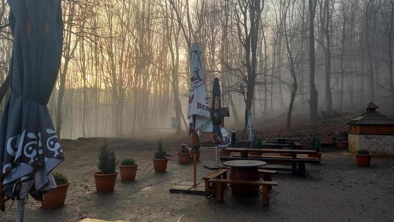 Chata Korenny Vrch Pezinska Baba Pezinok Exteriör bild