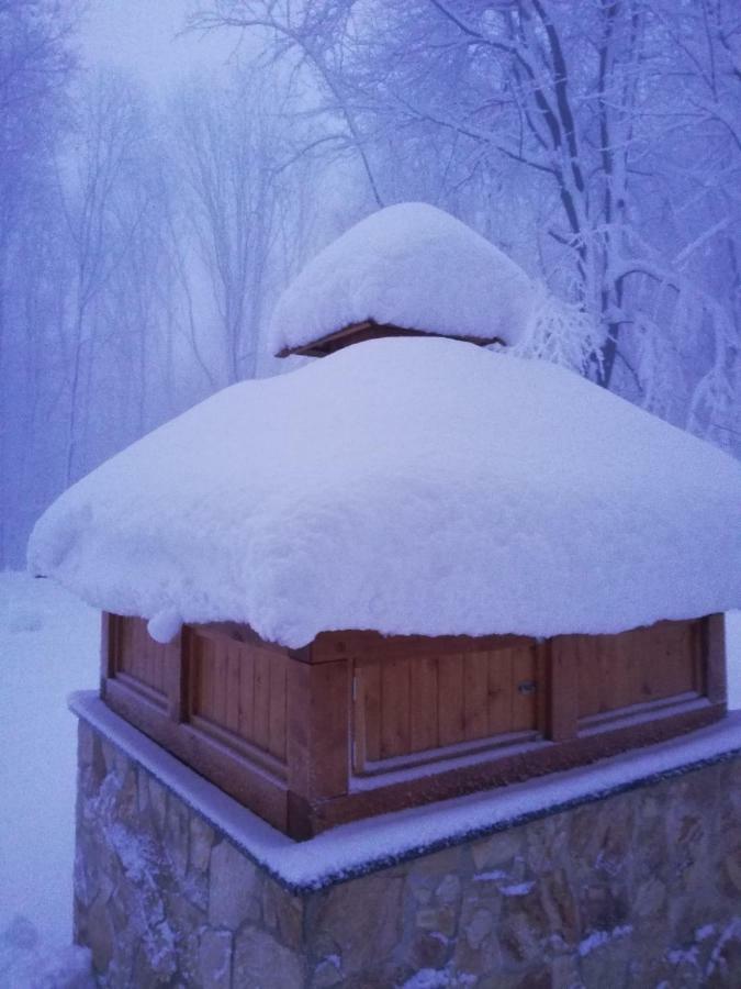 Chata Korenny Vrch Pezinska Baba Pezinok Exteriör bild
