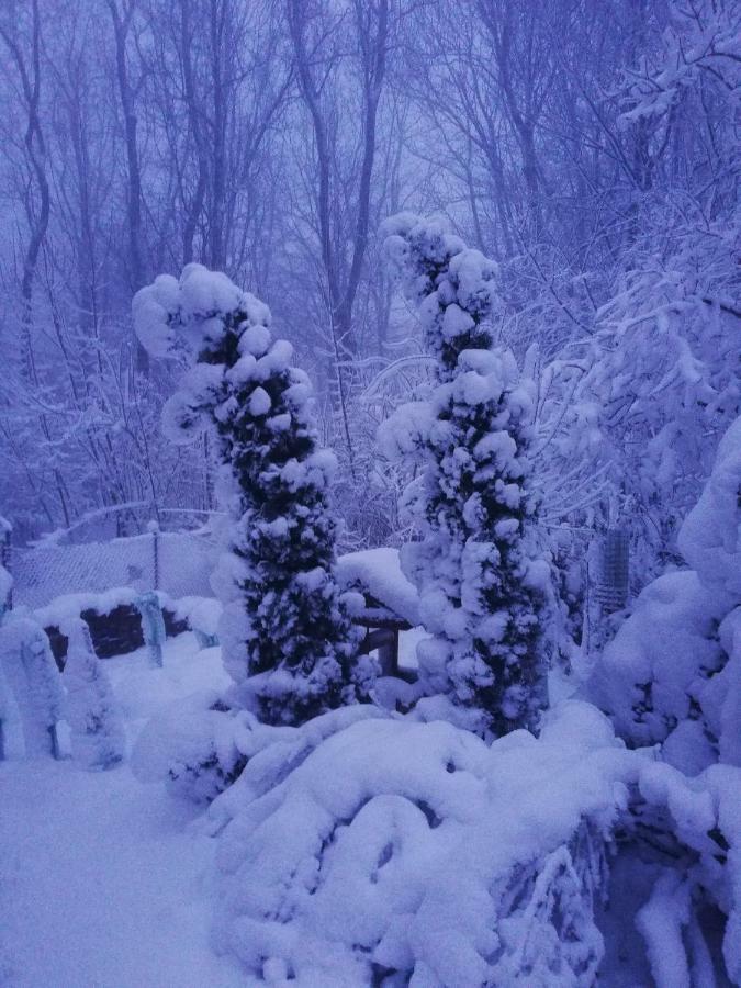 Chata Korenny Vrch Pezinska Baba Pezinok Exteriör bild