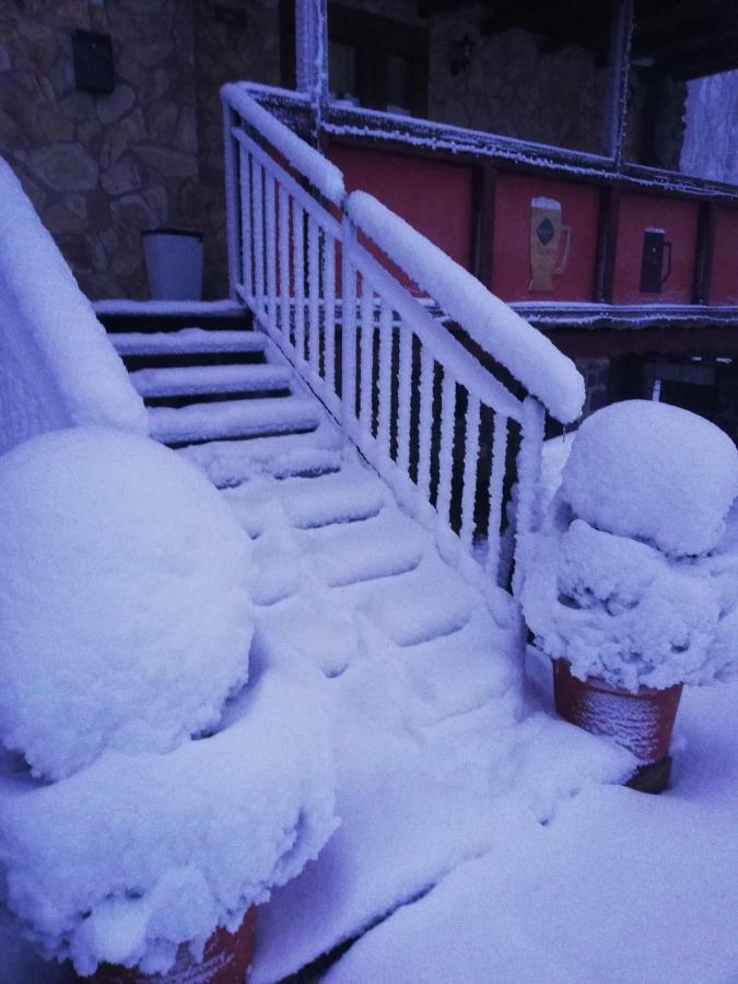 Chata Korenny Vrch Pezinska Baba Pezinok Exteriör bild